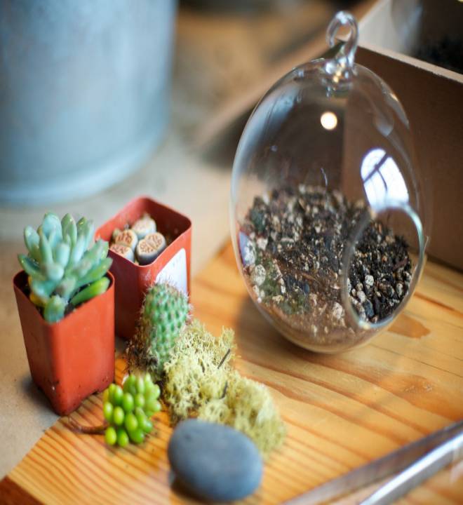 Trang trí văn phòng với tiểu cảnh Terrarium